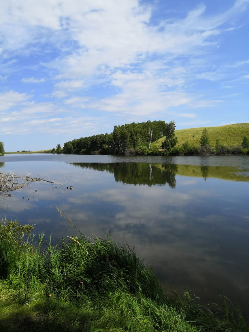 «АМРИНСКАЯ БАЛКА»