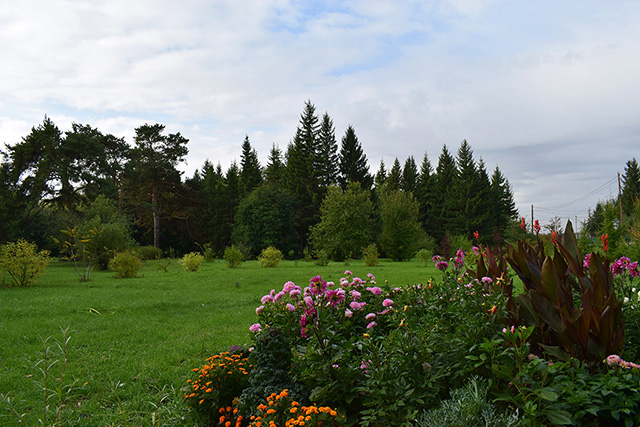 «ДЕНДРОПАРК ИМЕНИ П.С. КОМИССАРОВА»