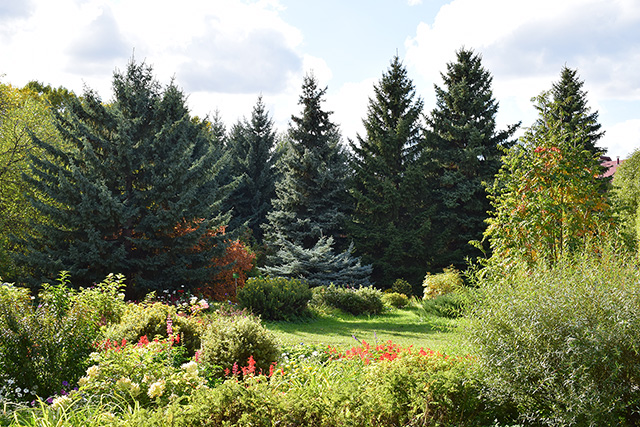 «ОБЛАСТНОЙ ДЕНДРОЛОГИЧЕСКИЙ САД ИМЕНИ Г. И. ГЕНЗЕ»